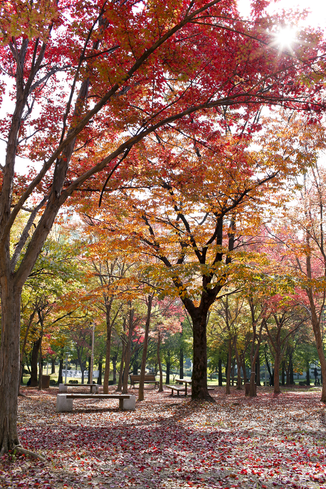 Campus-Autumn 2014