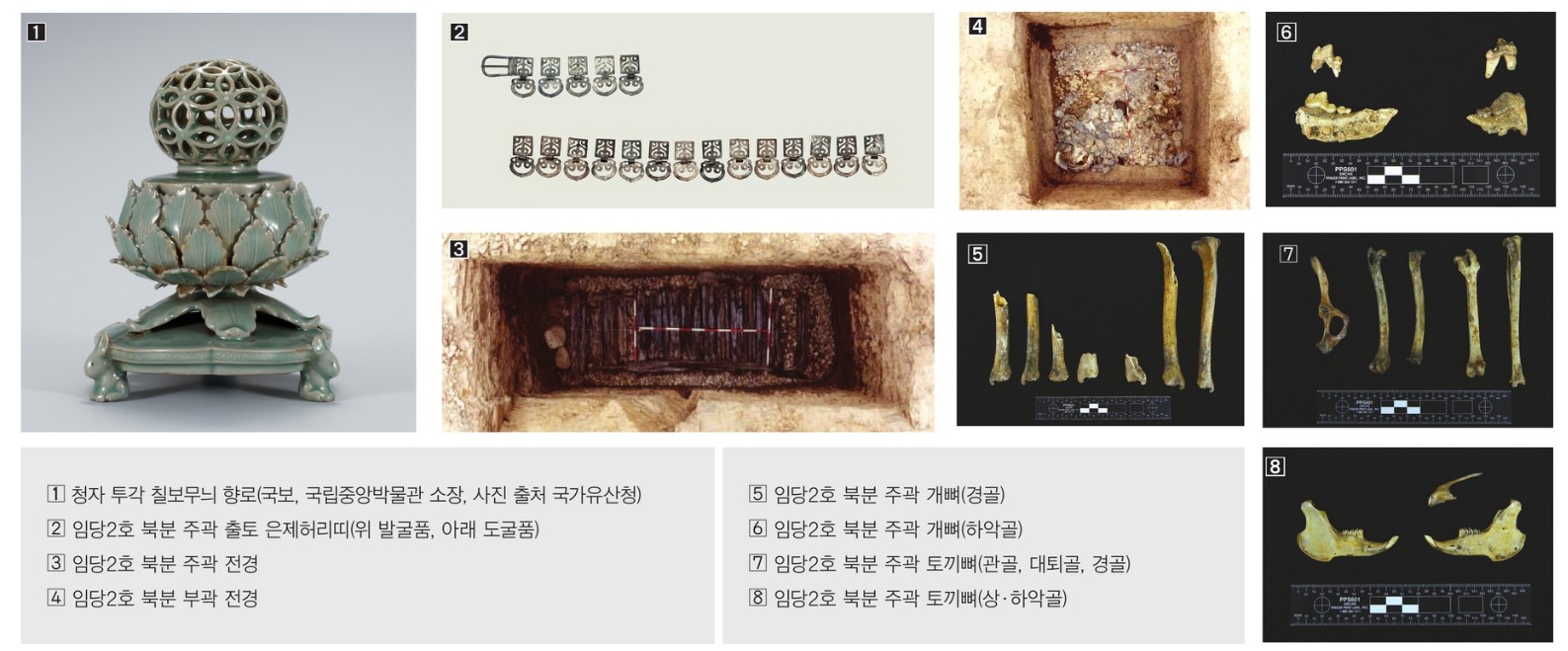 [박물관 속 토끼 이야기]YU천마뉴스 제7호(20241220) 8면(발췌) 